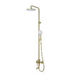 Душевой гарнитур IDDIS с тропическим душем и изливом, золотой матовый, Aiger, AIGMG3Fi06