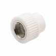 Полипропиленовый фитинг ПП Муфта ВР DN 20-1/2" (240/20) EVER, 538225